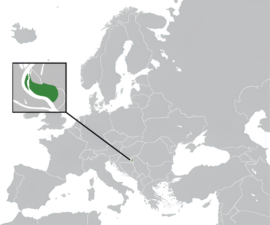Physical map of Serdovia